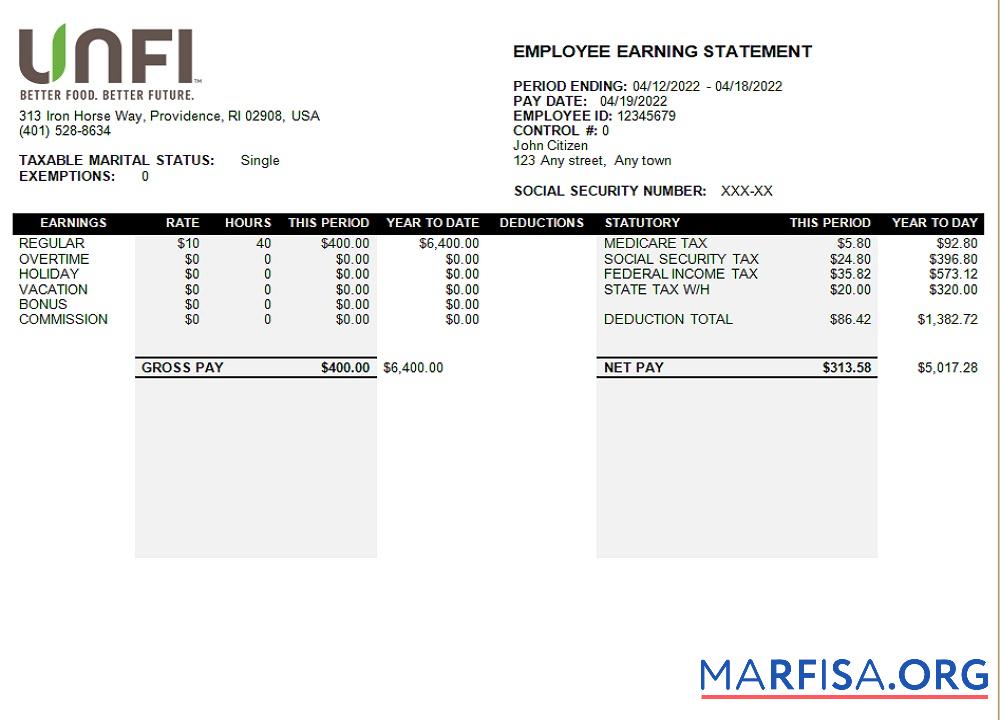 Blank USA retail company earning statement template